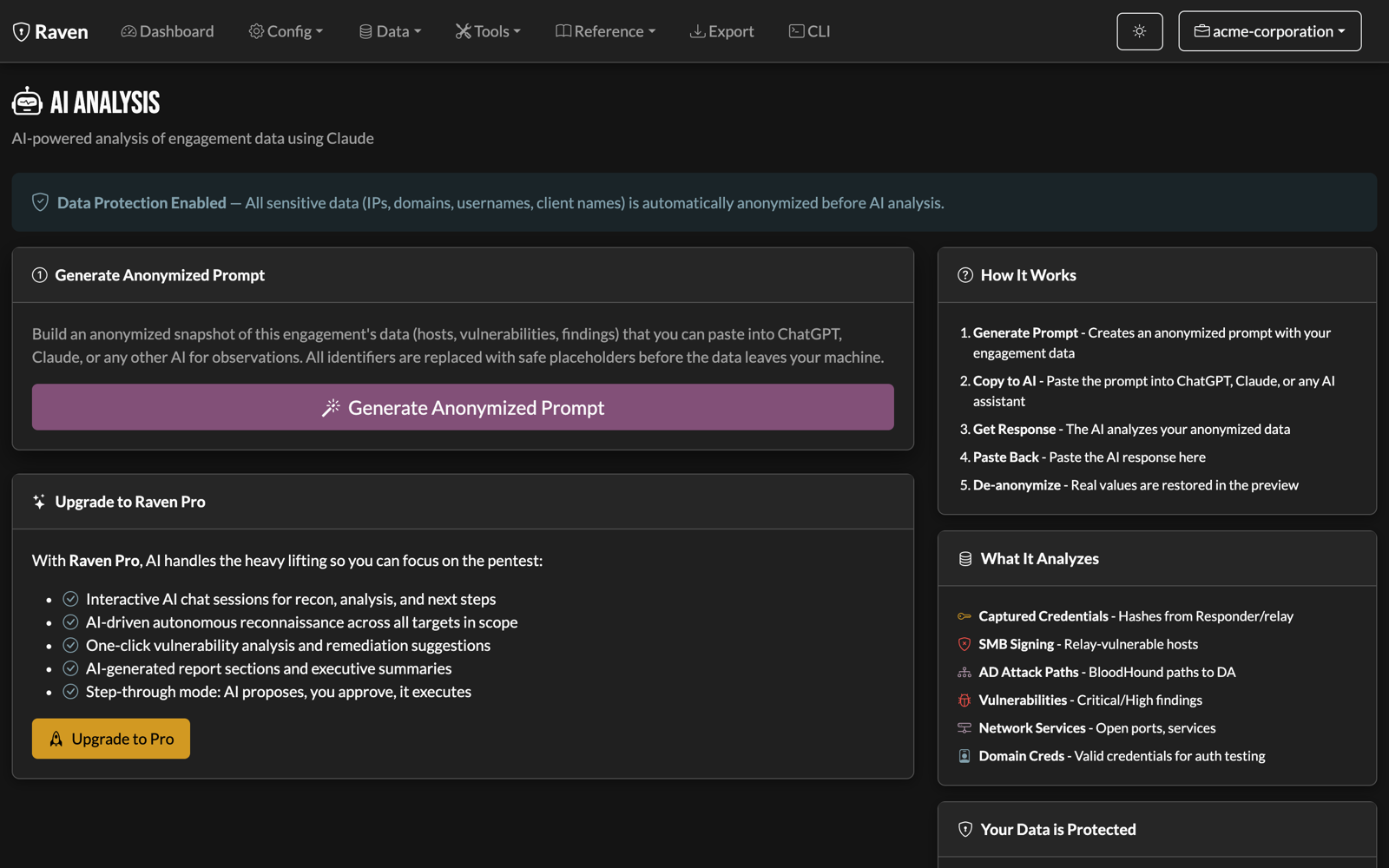 Raven AI analysis view showing data-protection anonymization and the generate-anonymized-prompt workflow